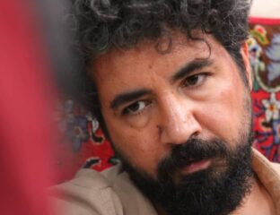 گل داوودی
