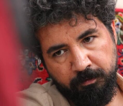 گل داوودی