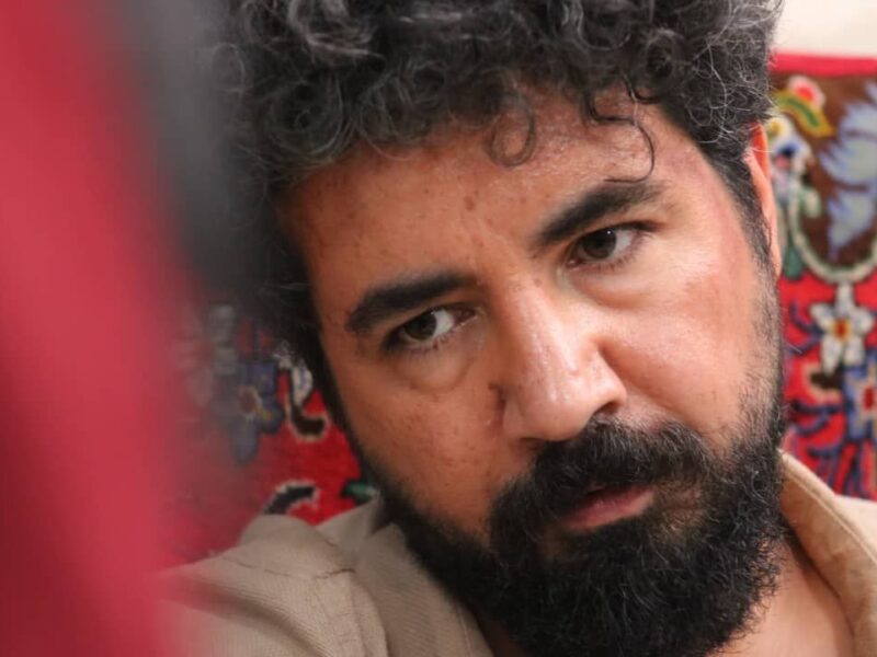 گل داوودی