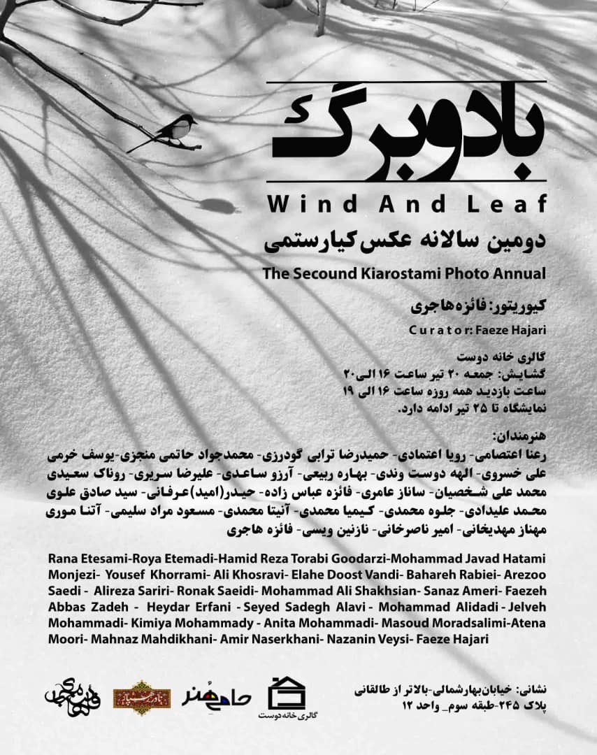 ” باد و برگ ” دومین سالانه عکس کیارستمی